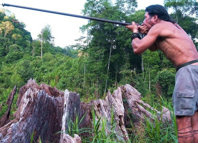 Borneo Death Blow - Documentary