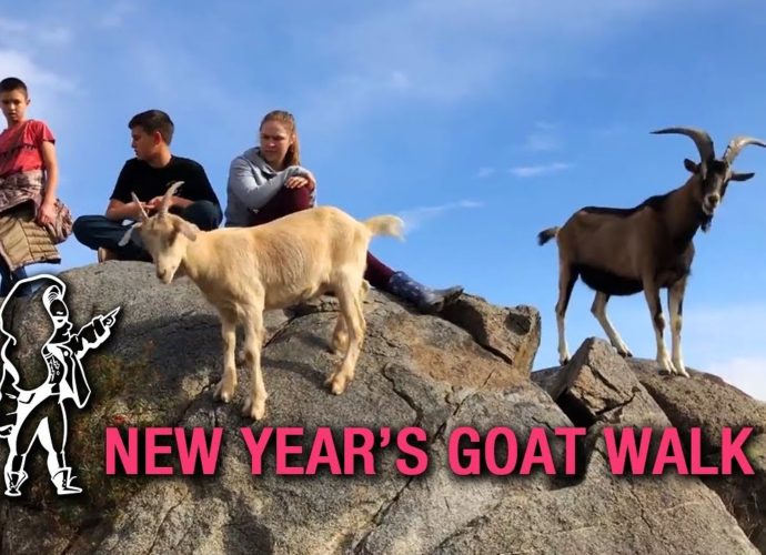 Browsey Acres | The Family Takes Their New Year's Goat Walk