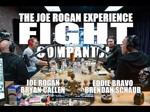 Joe Rogan Experience - Fight Companion - February 17, 2019