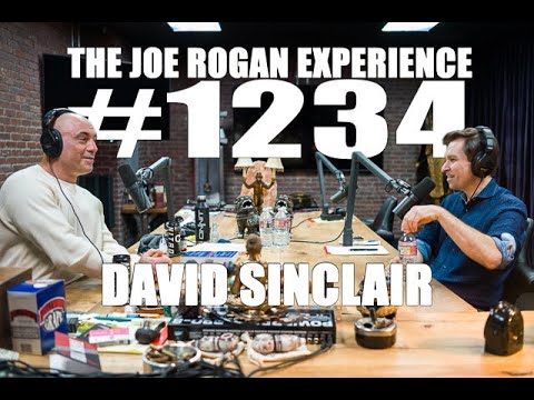 Joe Rogan Experience #1234 - David Sinclair