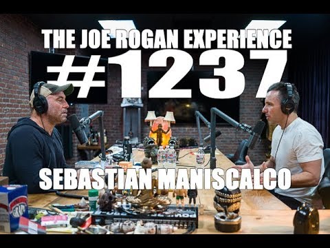 Joe Rogan Experience #1237 - Sebastian Maniscalco