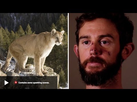 Runner Chokes Mountain Lion to Death (Gracie Breakdown)