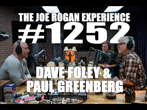 Joe Rogan Experience #1252 - Dave Foley & Paul Greenberg